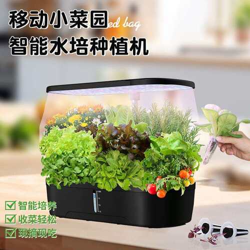 亚马逊新款12孔带显示屏植物灯智能生长灯 全光谱LED水培生长机
