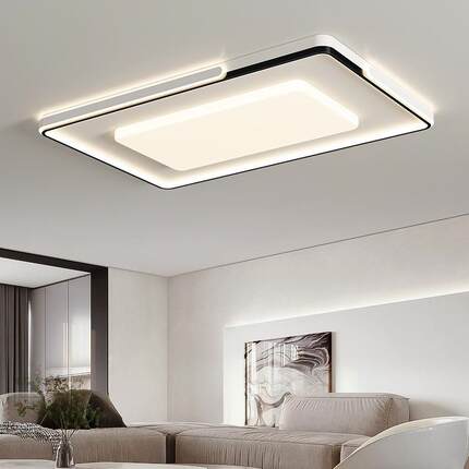 现代简约客厅吸顶灯2024年新款创意个性黑白组合LED书房卧室灯具