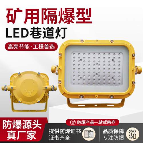 100W大功率矿用LED巷道灯36V工程隧道用防爆照明灯DGS100/127L(A)
