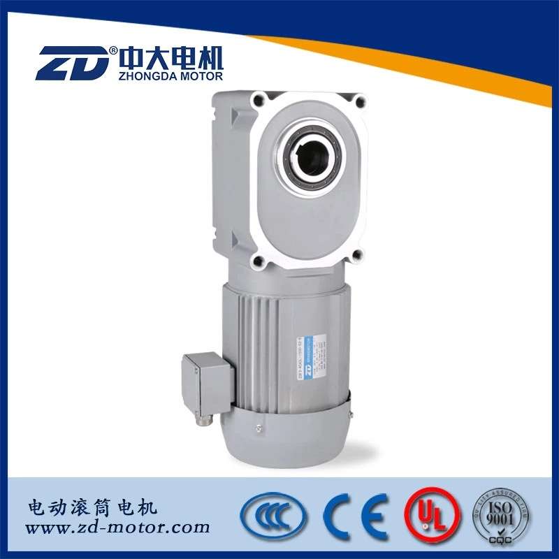 ZDF3中大力德电机 出轴18/22 100W空心/实心轴准双曲面齿轮减速机