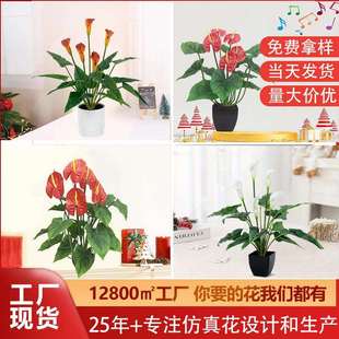 高品质仿真马蹄莲/红掌家居婚礼装饰绿植装饰盆栽室内植物摆件