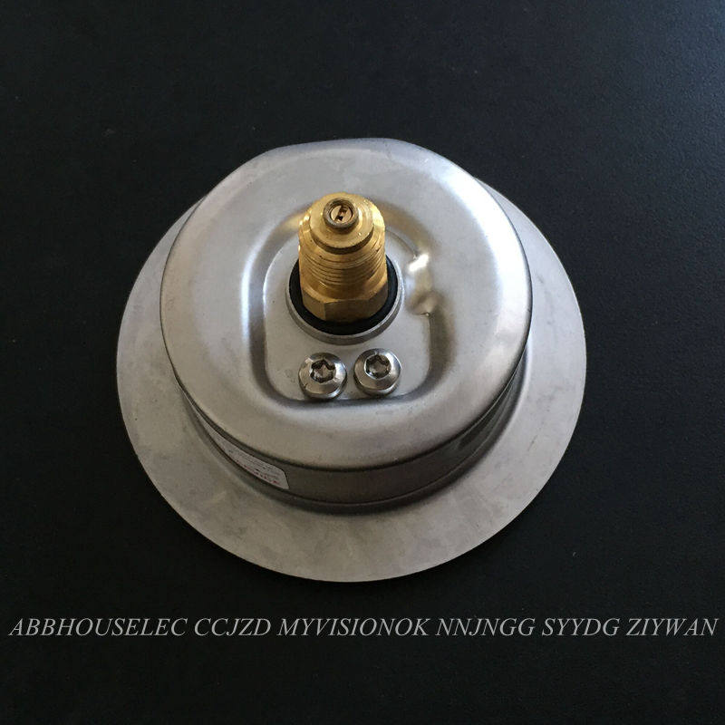 德国原装进口压力表TECSIS轴向不锈钢耐震压力表0-60MPa泰科思