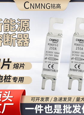 AC800V/DC750V充电桩熔断器RSM2010-S新能源充电桩熔断器100/50KA
