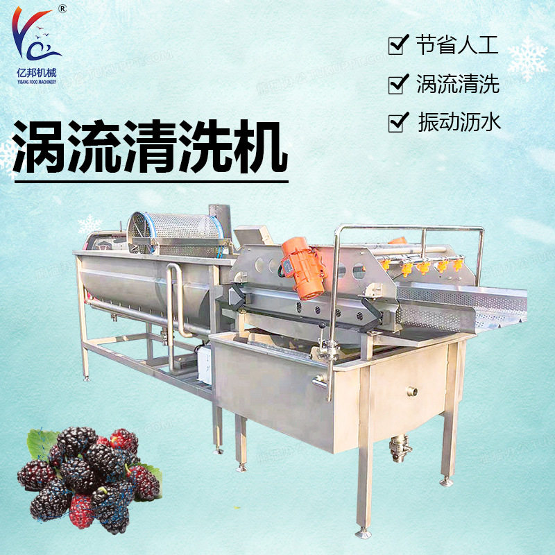 涡流清洗机蔬菜叶类气泡清洗流水线桑葚食品级