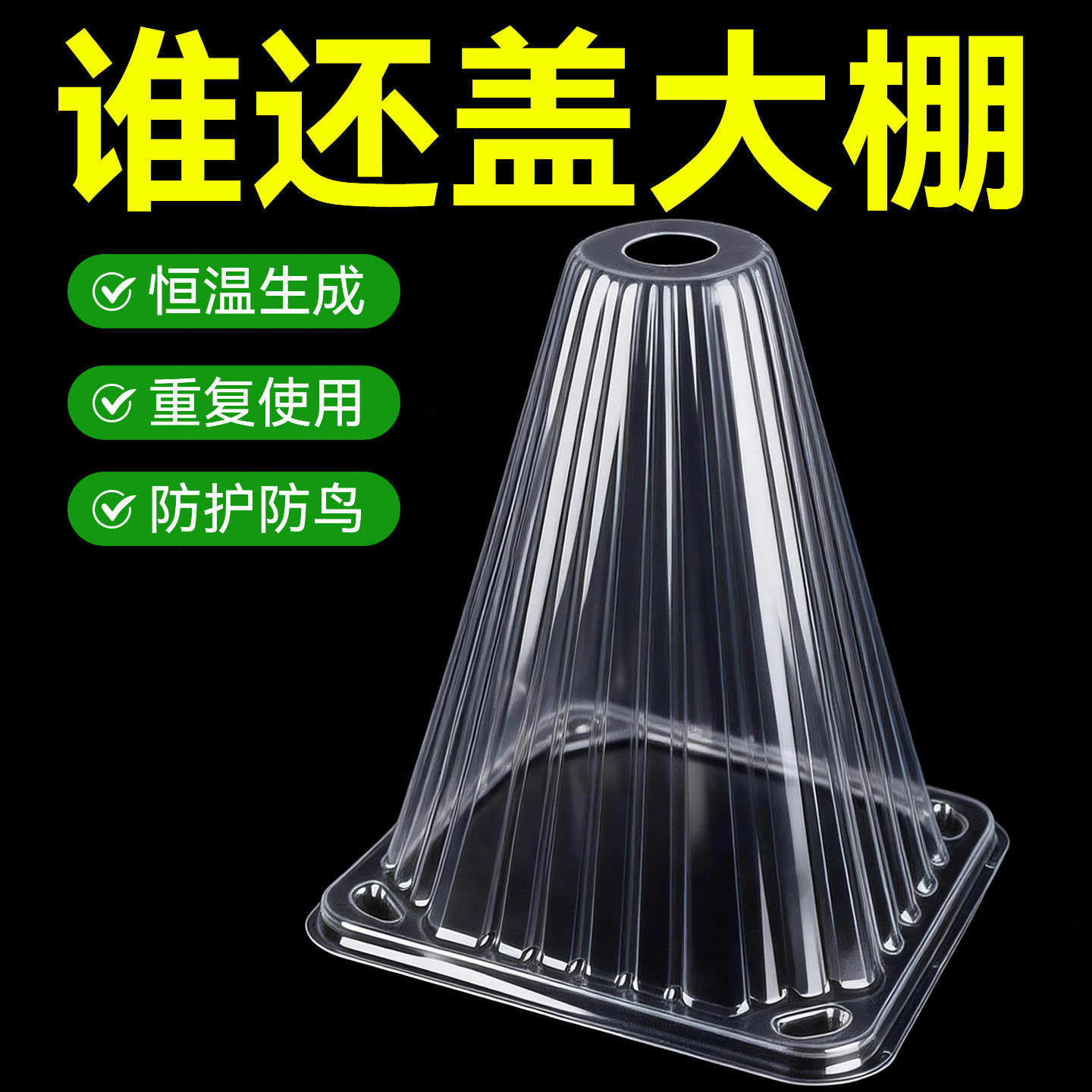 育苗保护罩加厚幼苗植物钟罩大棚菜苗霜冻大号保护防虫育苗防护罩