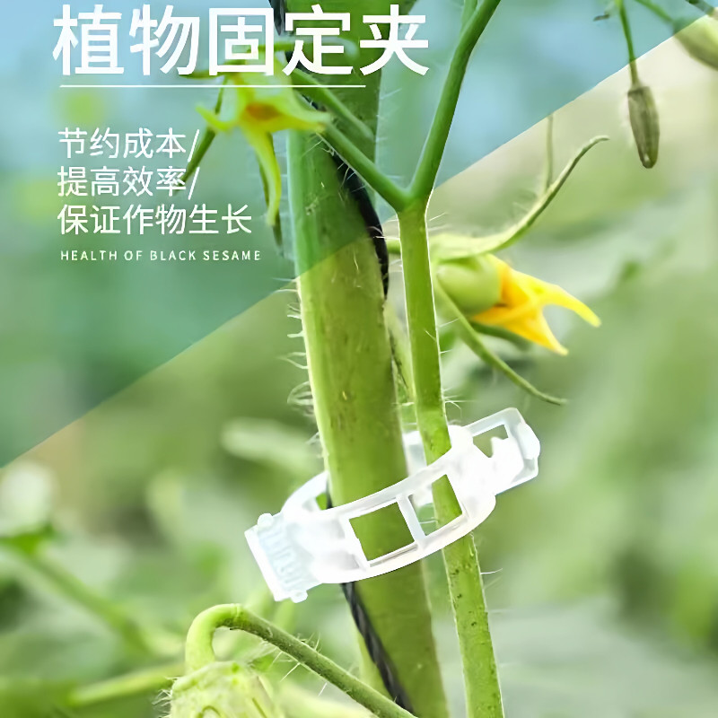 绿植果树植物固定夹卡扣藤蔓固定器秧苗爬藤支撑杆果蔬秧苗吊秧夹