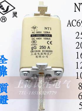 飞灵有限公司保险丝NT1熔断器AC690VDC440V芯子gG125A160A200A250