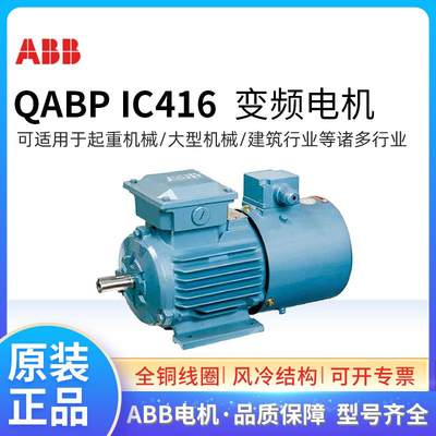 变频电机QABP250M6A37W6P三相异步5-100HZ调速范围IC416强冷