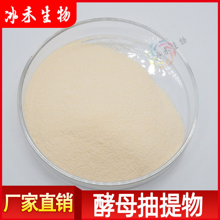 酵母抽提物 冰禾生物供应食品级调味料YE 酵母味素量大从优包邮