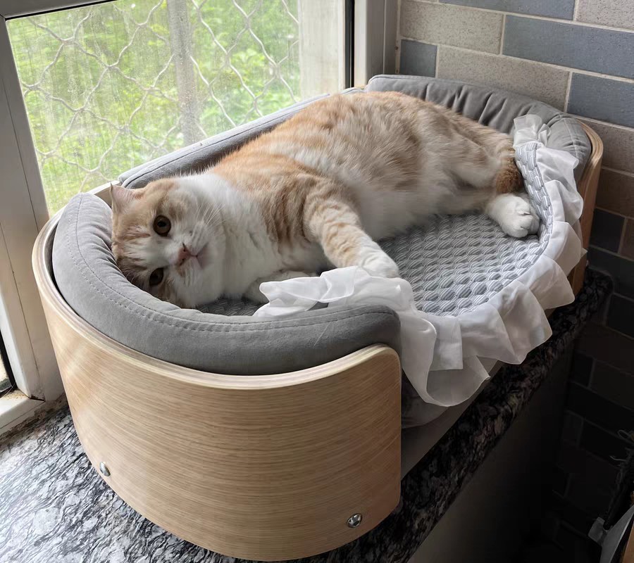 宠物家具用品实木猫窝狗窝狗床四季通用大型宠物睡床