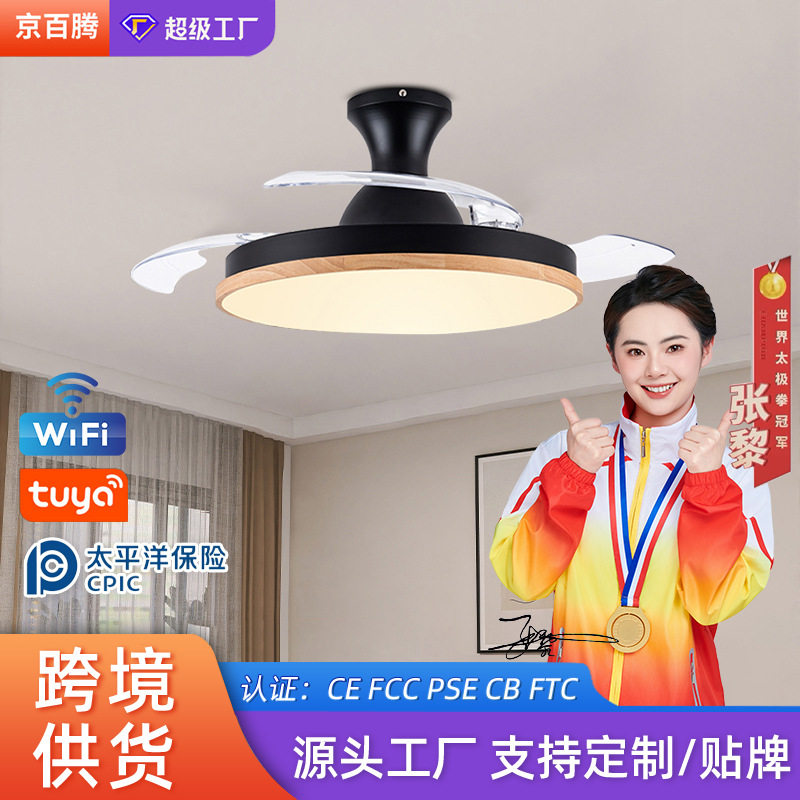 隐形智能变频风扇吊灯