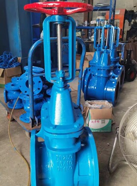 Z41T-16Q球墨铸铁铜密封法兰闸阀 防护明杆铜芯铜杆闸阀 自来水阀