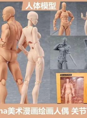 木偶人模型木手木头人偶木偶人摆件手指模型可活动关节人偶绘画