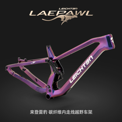 LEICHTEN碳纤维全地形山地车架