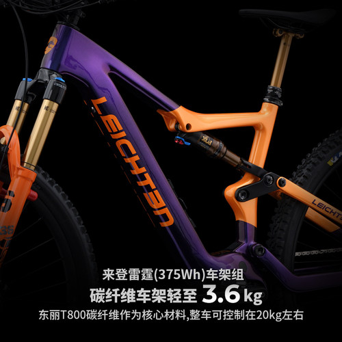 LEICHTEN来登碳纤维轻量电助力