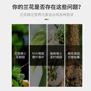 珍稀花卉绿色植物生长液专用肥料促花科王陵王专用营养液