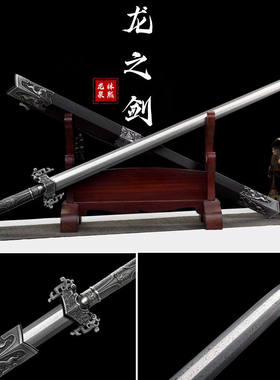 龙泉一体金属柄剑长款汉剑唐剑冷兵器古风秦王刀剑道具未开刃