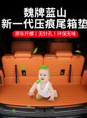 2023款d魏牌蓝山后备箱垫内饰专用改装全包围防水新一代压痕尾箱
