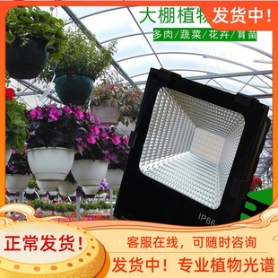 花卉补光灯上色多肉防水温室大棚补E光灯果蔬太阳雨林缸植物生长