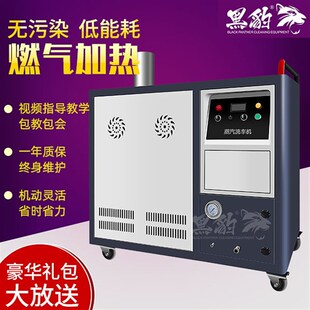燃气移动式蒸气清洗机高压蒸汽洗车J机  商用蒸汽清洁机