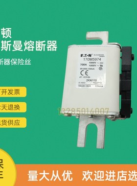 全新快速熔断器保险170M5926 170M5927 170M5928