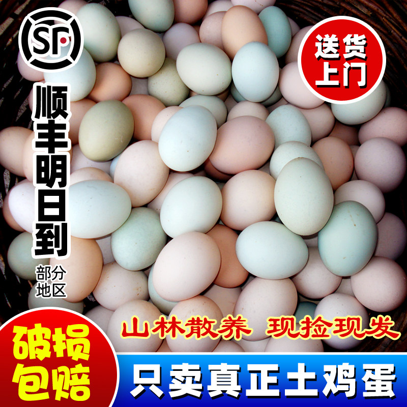 农家散养鸡蛋新鲜正宗土鸡蛋真正农村笨柴鸡蛋初生虫草月子乌鸡蛋