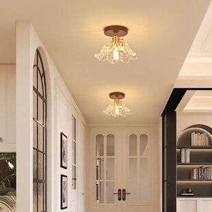 法式复古花瓣过道灯走廊阳台灯楼梯衣帽间入户玄关高级感小吸顶灯