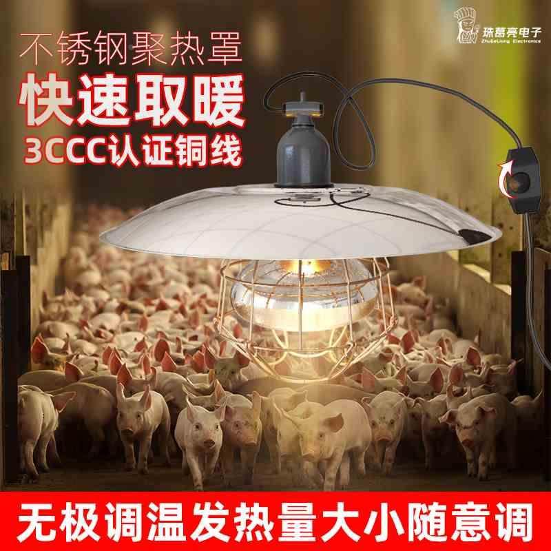 保温灯养殖场专用仔猪取暖灯罩小鸡育雏调温加热灯头升温保暖烤灯,搬运/仓储/物流设备,其他起重搬运设备,淘宝优惠券,粉丝福利购,淘宝优惠卷