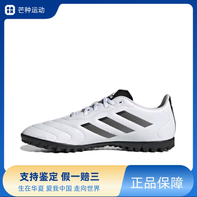 adidas GOLETTO VIII TF 入门 碎钉 硬人造草坪 圆头GY5774