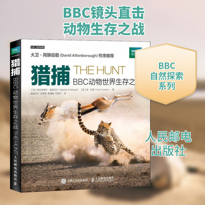 猎捕 BBC动物世界生存之战