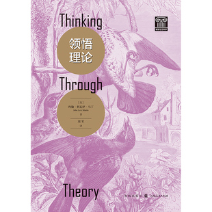 领悟理论 (美)约翰·利瓦伊·马丁 著 著 刘军 译 译