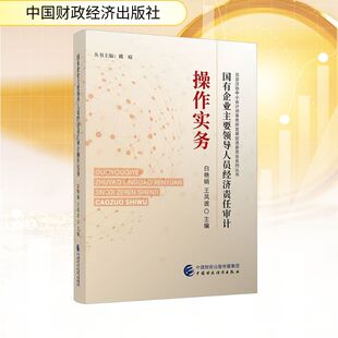 国有企业主要领导人员经济责任审计操作实务 白艳娟,王凤波 编