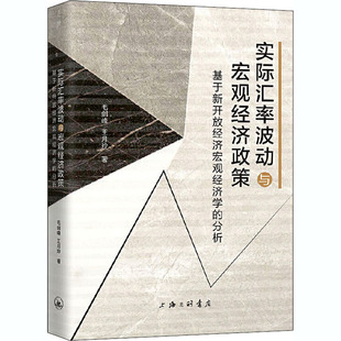 实际汇率波动与宏观经济政策 基于新开放经济宏观经济学的分析