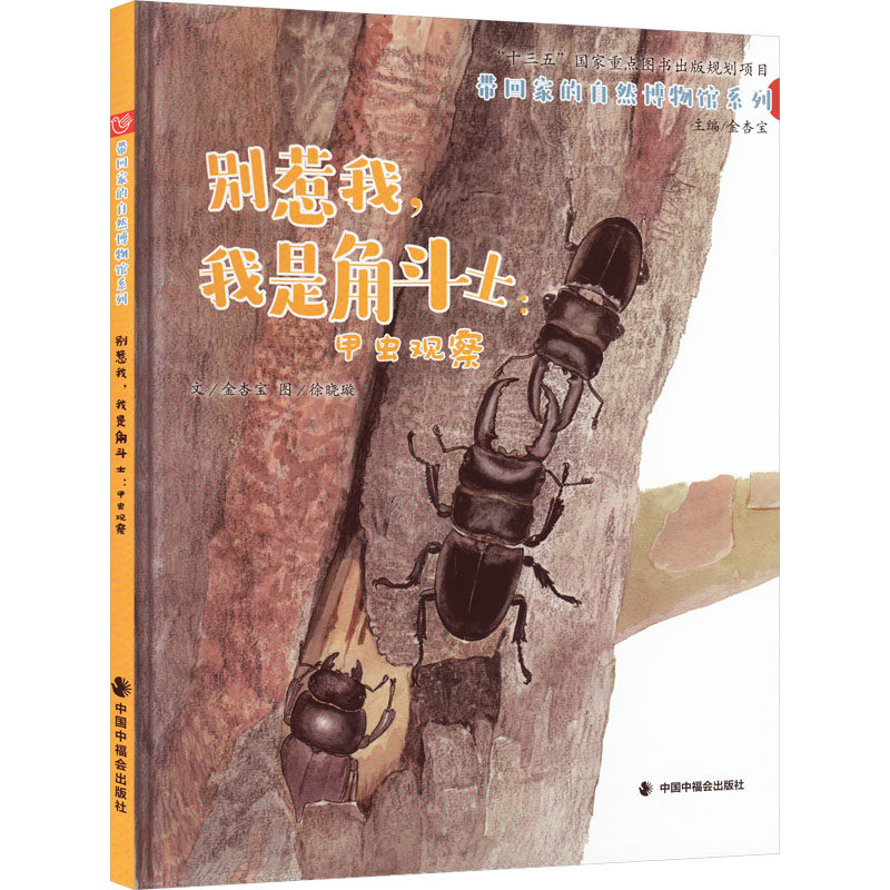 别惹我,我是角斗士:甲虫观察 金杏宝 著 金杏宝 编 徐晓璇 绘