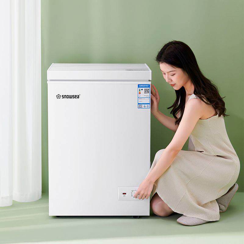 小冰柜家用全冷冻小型冷柜保鲜箱两用冷藏冷冻柜卧式冷柜