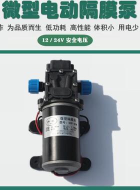 萨当微型隔膜泵电动高压洗车水泵12V60W直流自吸智能型80W24V