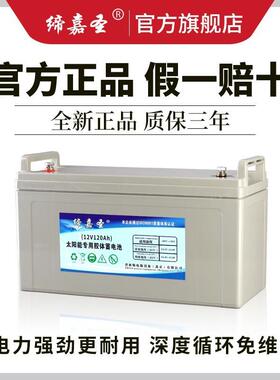 太阳能蓄电池100ah12v120AH150AH200AH300ah胶体路灯备用电源电瓶