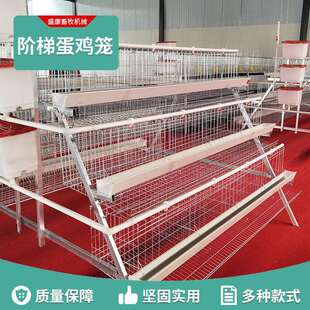 阶梯蛋鸡笼养殖场专用笼鸡笼子阶梯式蛋鸡笼养鸡设备养殖鸡笼全套