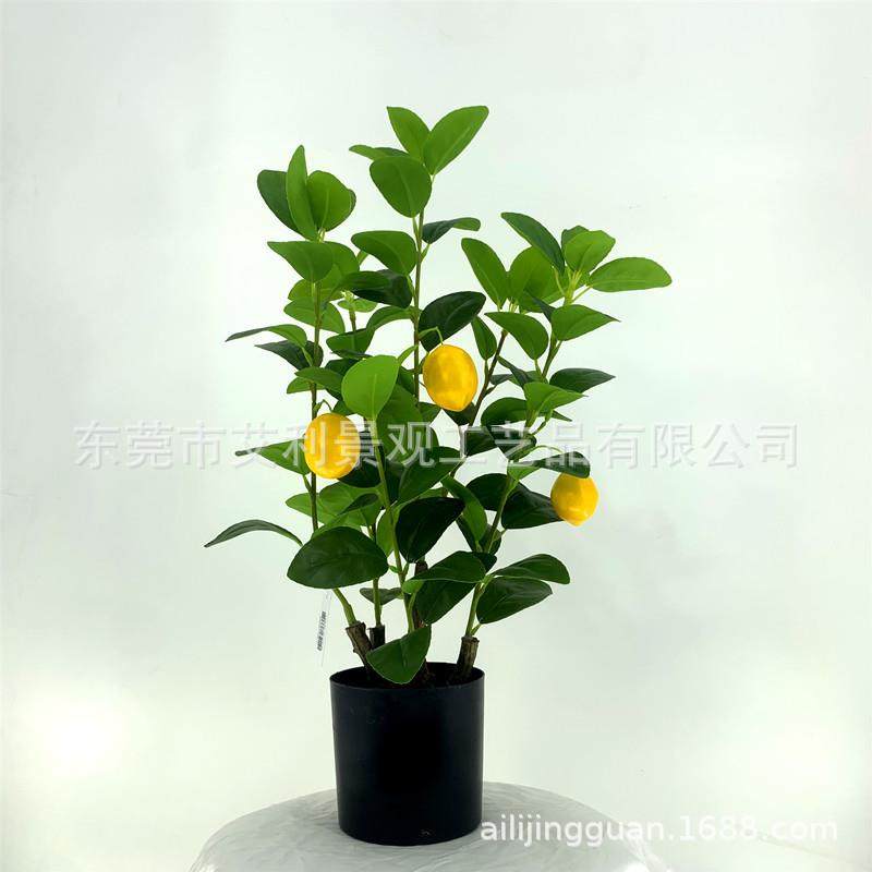柠檬树家居小清新植物假果树盆栽园林景观人造绿植盆景,影音电器,更多影音配件,淘宝优惠券,粉丝福利购,淘宝优惠卷