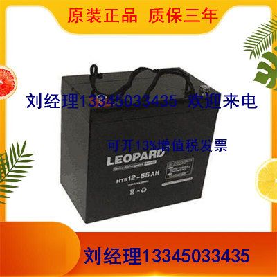 LEOPARD美洲豹蓄电池HTS12-55 续航持久型 UPS直流屏后备电源