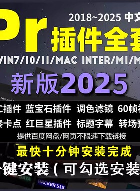 PR2025全套插件合集一键安装磨皮BCC蓝宝石转场调色预设降噪软体