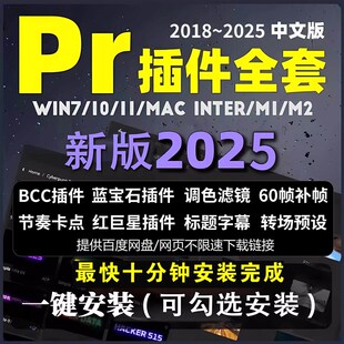 PR2025全套插件合集一键安装磨皮BCC蓝宝石转场调色预设降噪软体