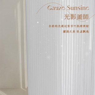 网红竖百叶纱帘白纱窗帘雪纺纱卧室飘窗透光不透人白色窗纱梦幻帘