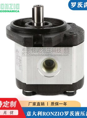 罗茨RONZIO齿轮泵02ZAG06/04/08/11/14/17/20/25/31E034S-0B油泵