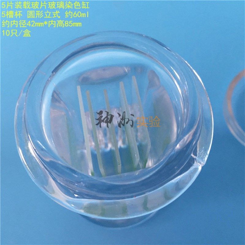 5片装载玻片玻璃染色缸 60ml标本瓶 层析缸 圆形五槽杯 10祇/盒,办公设备/耗材/相关服务,其它,淘宝优惠券,粉丝福利购,淘宝优惠卷