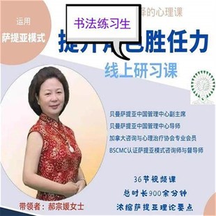 郝宗媛运用萨提亚模式提升角色胜任力视频内在动力冰山心理课程