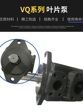2520VQ叶片泵3520VQ3525VA4520VQ4525VQ20VQ10A12A17A19A32A60A38