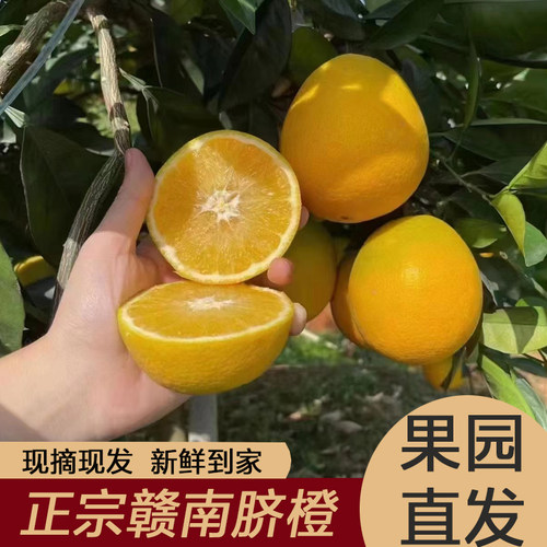 现摘现发赣南脐橙新鲜到家