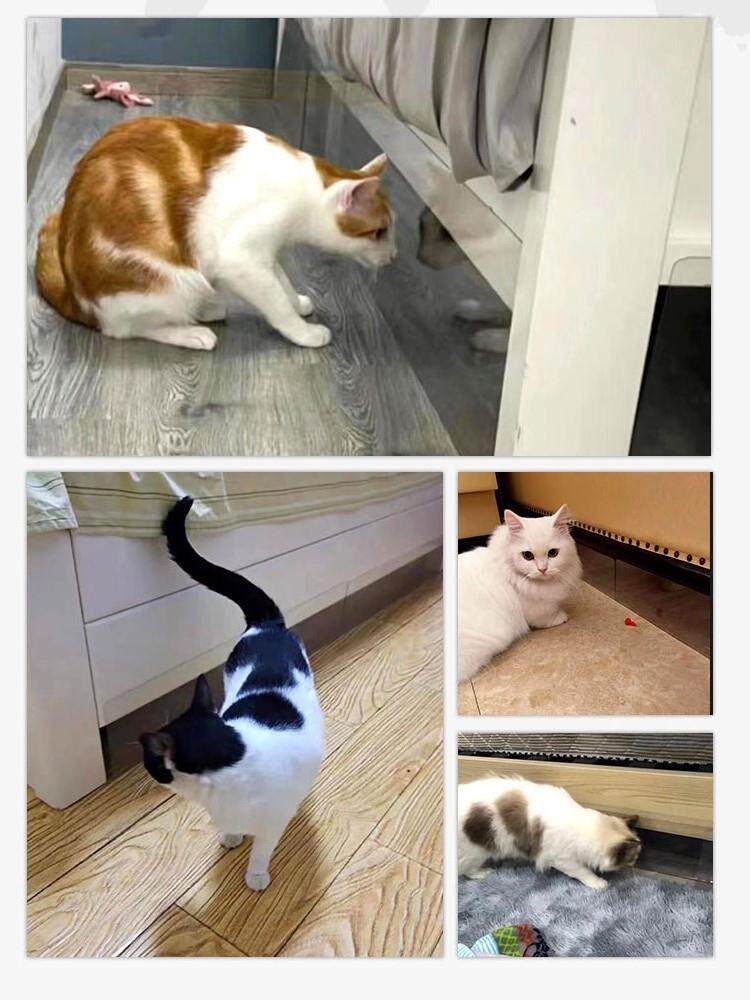 새로운 소파 간격 바닥 침대 끝 배플 책상 낙하 방지 테이블 사이드 테이블 솔기 L 자형 배플 PVC 애완 동물 방지 드릴링