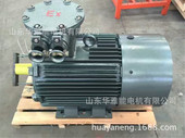355M1 132KW电机变频YSF电机绿水青山是金山银山
